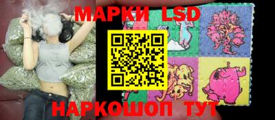 хмурый Камышлов