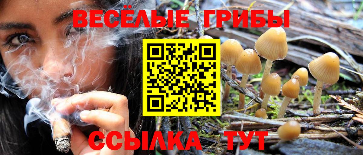 Псилоцибиновые грибы Psilocybe  Вход с VPN  Красный Сулин  Галлюциногенные грибы Psilocybine cubensis 